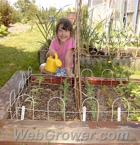 Child in her garden.