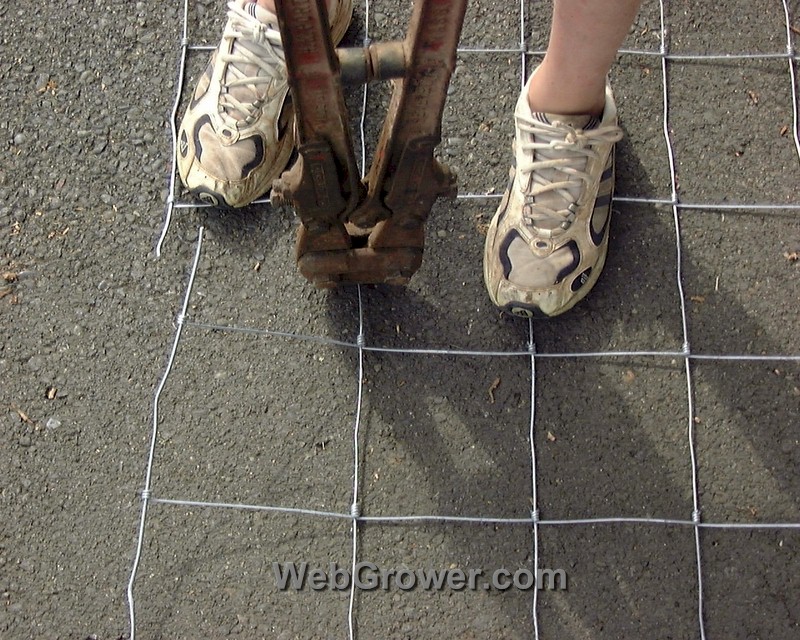 Rolling out the wire fencing and cutting to length.