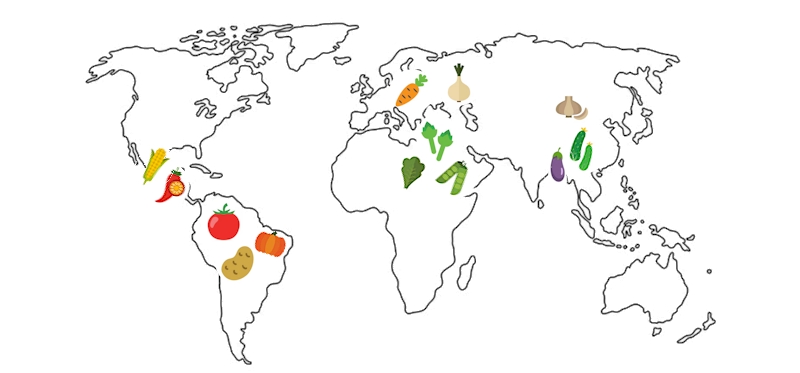 The Origins of Common Food Crops