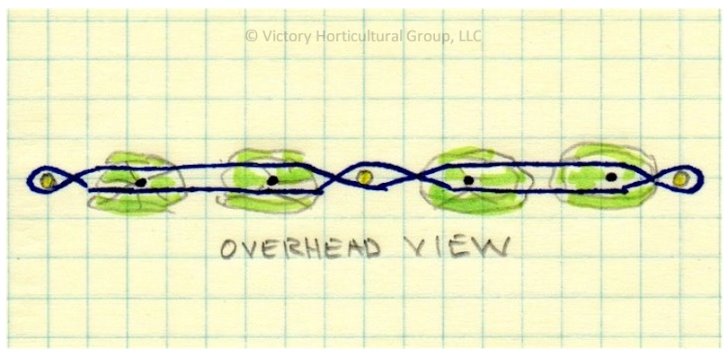 A top view sketch of the Florida Weave Method.