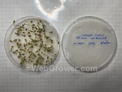 Simple Seed Germination Test