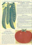 1932 H. W. Buckbee Seed Catalog Page 44