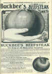 1932 H. W. Buckbee Seed Catalog Page 61