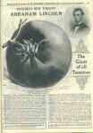 1932 H. W. Buckbee Seed Catalog Page 63