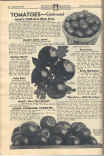 Isbell's 1936 Seed Catalog - Page 52