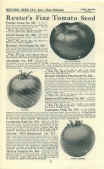 Reuter's 1928 Seed Annual page 21