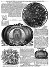 The image ../salzer/1898/1898Salzer_FerrisWheel.jpg cannot be displayed, because it contains errors.