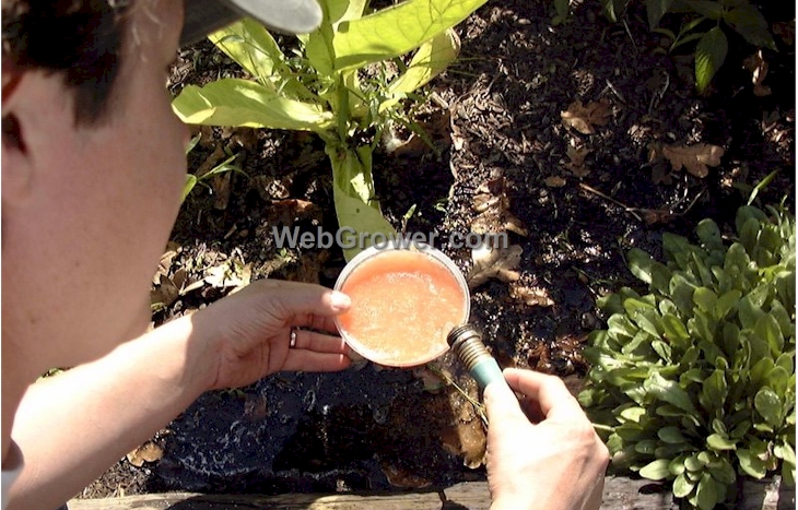 Adding water to the container.