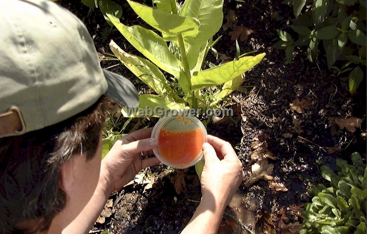 Carefully pouring off floating material.