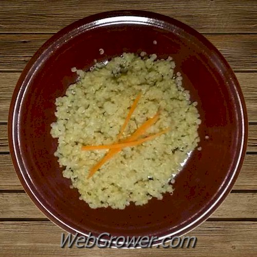 Quinoa